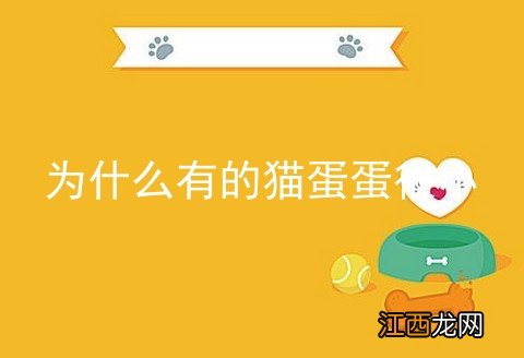 为什么有的猫蛋蛋很小