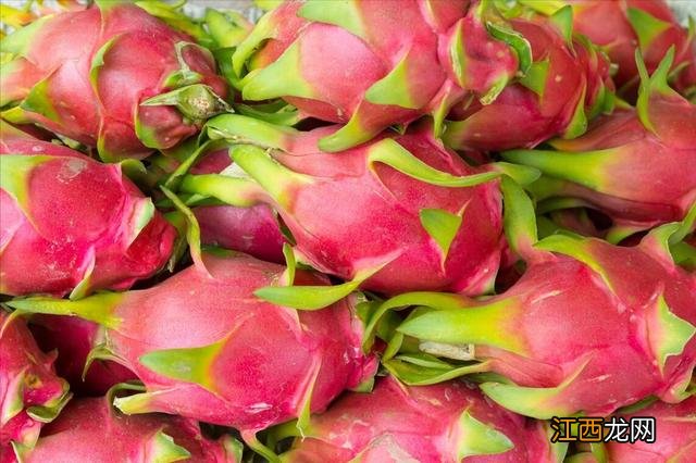 火龙果什么味道最好?火龙果是什么味道,很值得收藏
