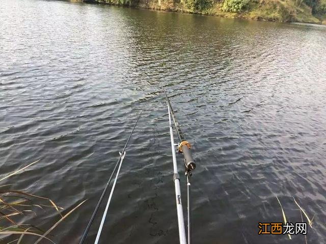 汪刺鱼不能与什么同食?汪刺鱼不能与什么同煮,这个可以有