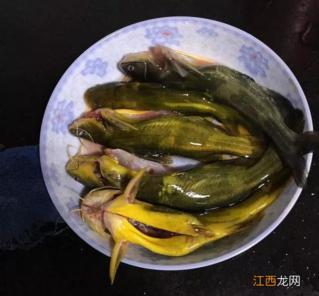 汪刺鱼不能与什么同食?汪刺鱼不能与什么同煮,这个可以有