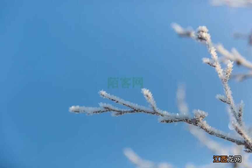 今日立冬丨学会这一点,整个冬天不再寒冷,让身体真正温暖起来