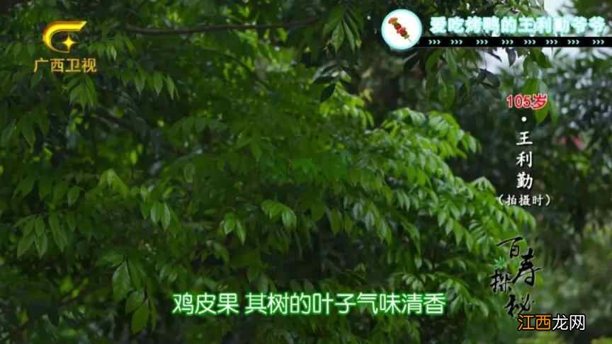 当烧烤遇见凉茶、健康遇见美味，吃就对了