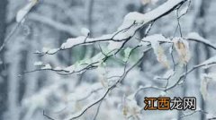 大雪补得当，防寒、助阳、护血管