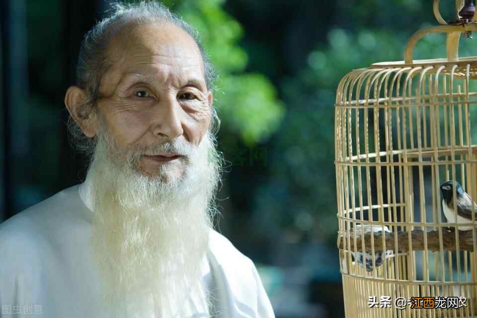 河北93岁老人，养生方法太厉害了！没有住过医院，为啥能健康长寿