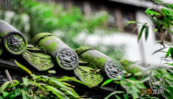 露天鱼池青苔怎么处理