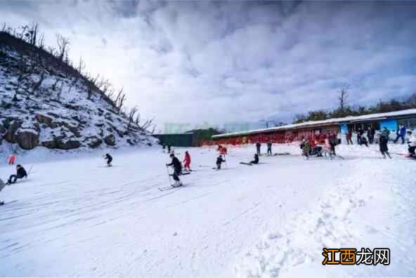 整个朋友圈都去滑雪了：这个冬天的冰雪氛围感直接拉满