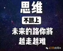 公司老总格局