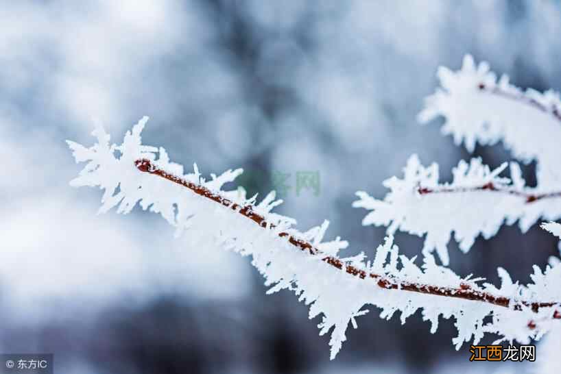 今日大雪，一年最冷的日子，大雪养生9大原则，健康长寿百病不生