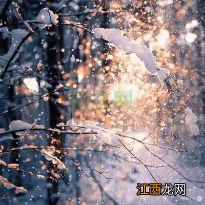 今日小雪｜最重要的养生时机，明年身体好不好就看当下了！