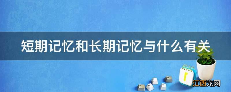 短期记忆和长期记忆与什么有关