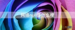 网络null是什么梗