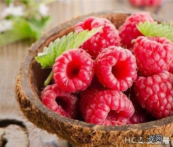 农村这种水果,营养价值高,口感又好,为什么超市很难见到?