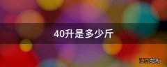 40升是多少斤