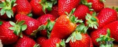 丹东草莓12月是反季水果吗