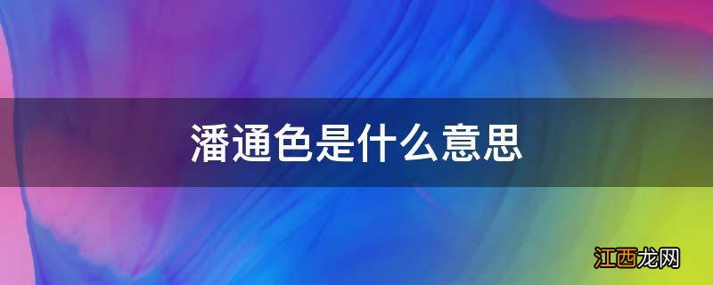 潘通色是什么意思