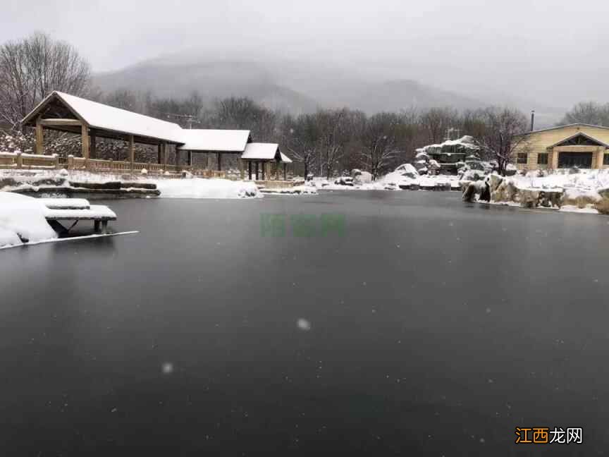 滑粉雪，逛溶洞，来最独特的“原始森林”闹个冬！