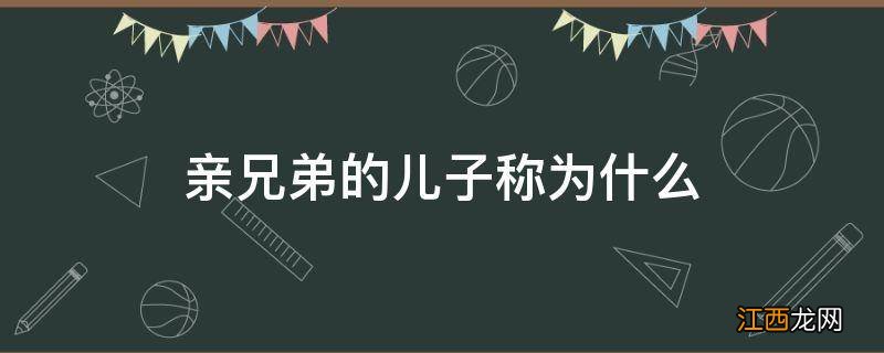 亲兄弟的儿子称为什么