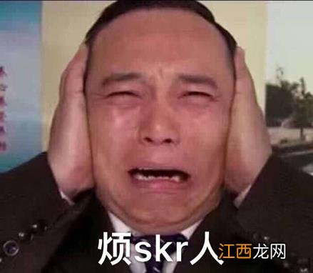 skr是什么意思什么梗？