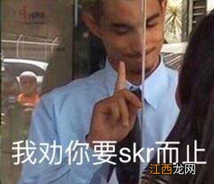 skr是什么意思什么梗？