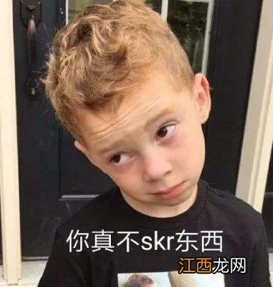 skr是什么意思什么梗？