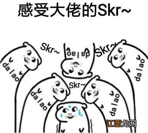 skr是什么意思什么梗？