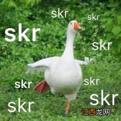 skr是什么意思什么梗？