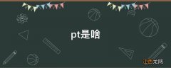 pt是啥