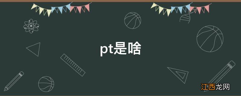 pt是啥