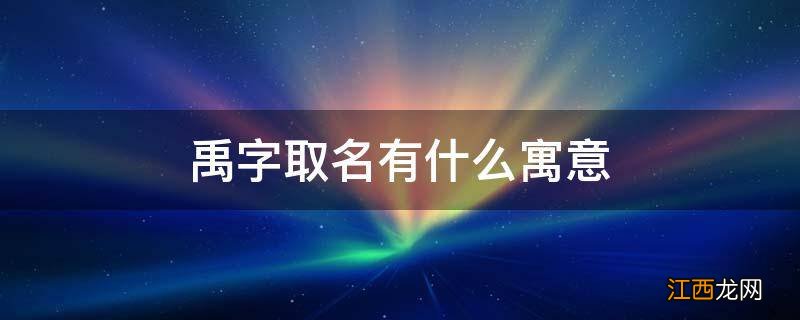 禹字取名有什么寓意