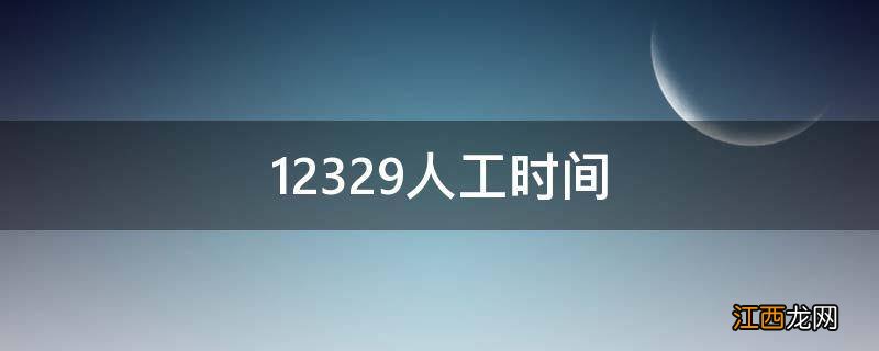 12329人工时间