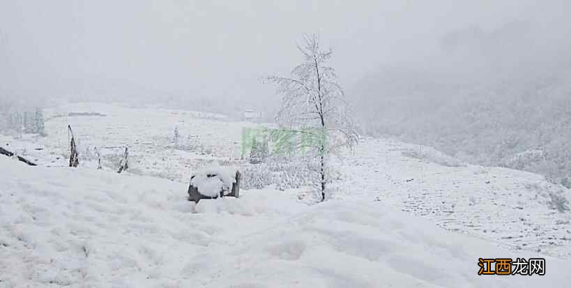 二十四节气 | 大雪养生，一条全知道！