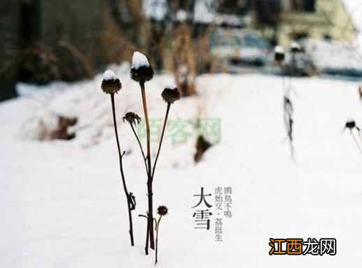 二十四节气 | 大雪养生，一条全知道！