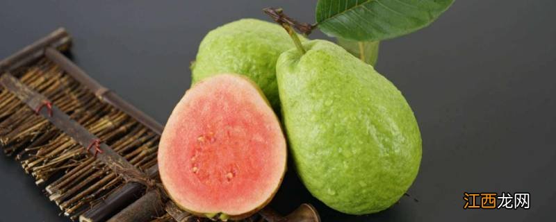番石榴白心红心哪种好