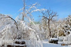 今日大雪：“大雪”虽未必降雪，但吃肉喝粥，正是冬季养生好时节