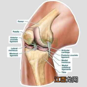 容易受伤的膝关节——怎样合理运动才能保护膝关节呢？