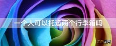 一个人可以托运两个行李箱吗