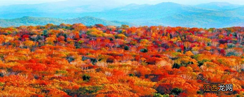 五花山在哪