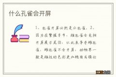 什么孔雀会开屏