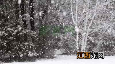 去滑雪吗？来这就对了