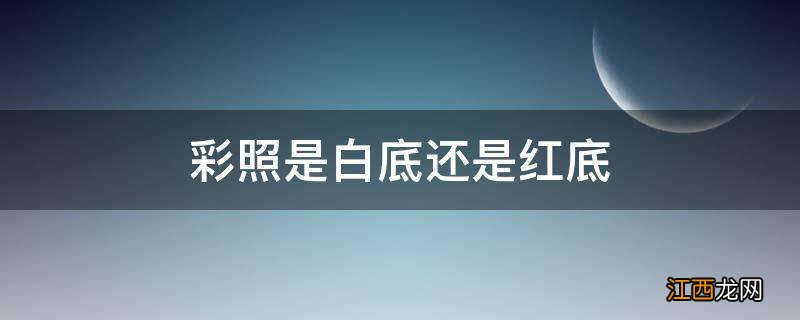 彩照是白底还是红底