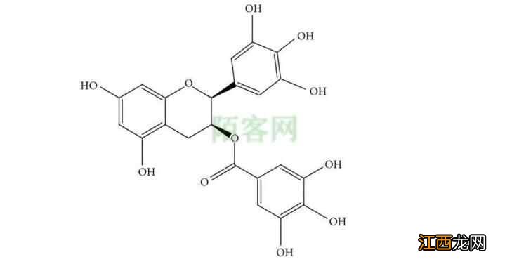 喝茶闲话 | 喝茶 是如何养生的