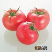 如何辨别催熟的西红柿