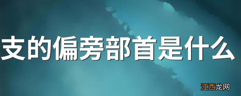 支的偏旁部首是什么 支部首介绍