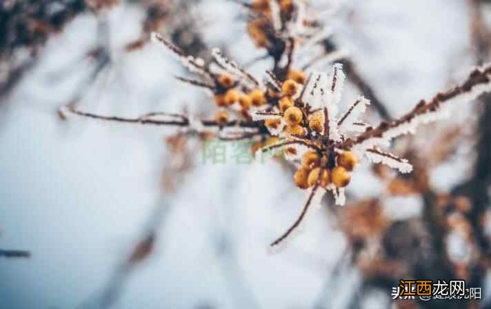 二十四节气 | 立冬养得好，来年生病少：儿童冬季中医养生