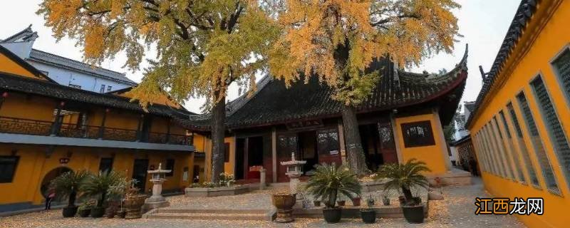 定慧寺在什么地方