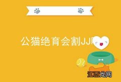 公猫绝育会割JJ吗