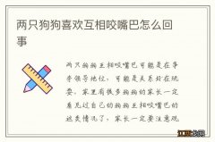 两只狗狗喜欢互相咬嘴巴怎么回事