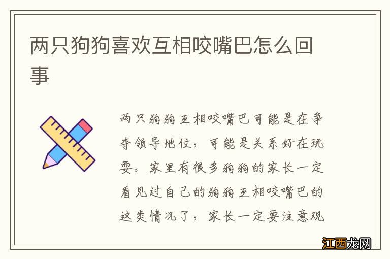 两只狗狗喜欢互相咬嘴巴怎么回事