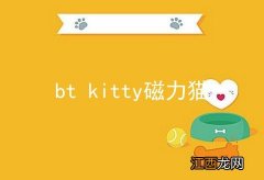 bt kitty磁力猫