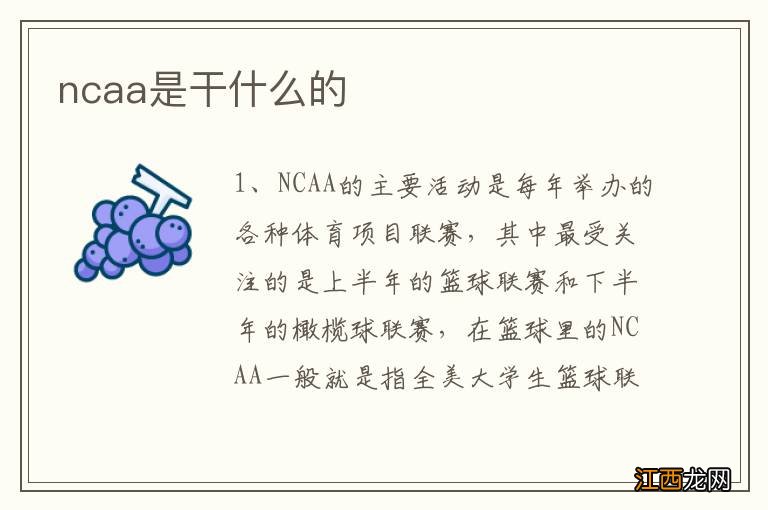 ncaa是干什么的